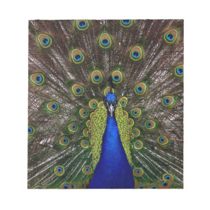 Peacock Notizblock