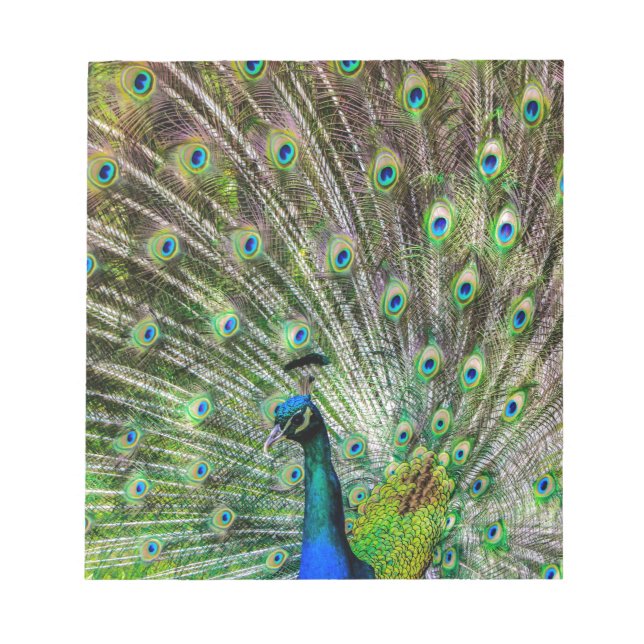 Peacock Notizblock (Vorderseite)