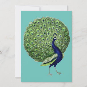 Peacock Open Fan Einladung