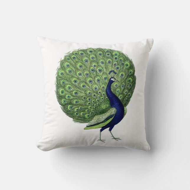 Peacock Open Fan Kissen (Vorderseite)