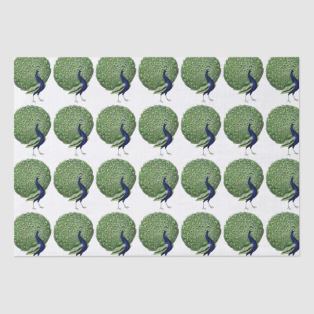Peacock Open Fan Seidenpapier (Vorderseite)