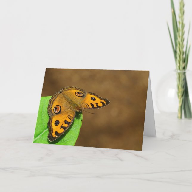 Peacock Pansy Butterfly Karte (Vorderseite)