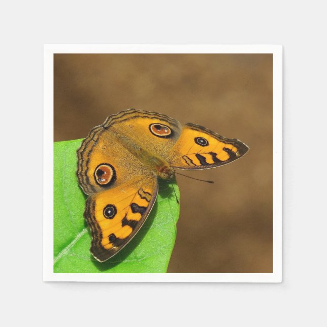 Peacock Pansy Paper Napkin Serviette (Vorderseite)