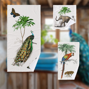 Peacock, Parrot et Eléphant par D'Orbigny