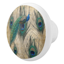 Peacock & Pecock Feathers W/Music Paper Background Keramikknauf
