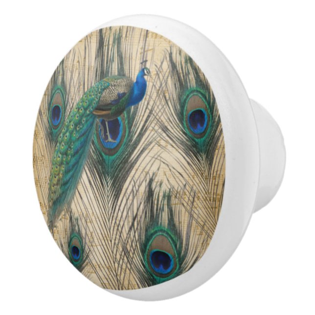 Peacock & Pecock Feathers W/Music Paper Background Keramikknauf (Rechts)