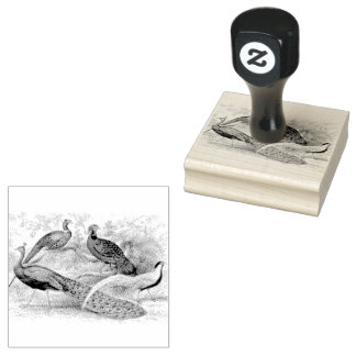 Peacock Pheasant Mixed Scrapbooking Gummistempel