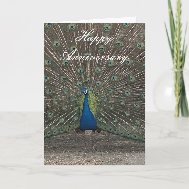 PEACOCK PHOTO ANNIVERSARY GREETING CARD KARTE (Vorderseite)