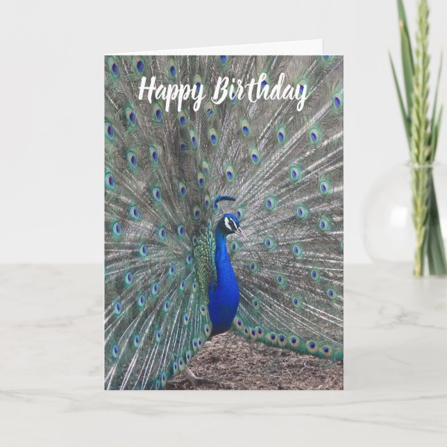 PEACOCK PHOTO HAPPY BIRTHDAY GREETING CARD  KARTE (Vorderseite)