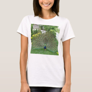 Peacock photo T-Shirt de base féminin, blanc