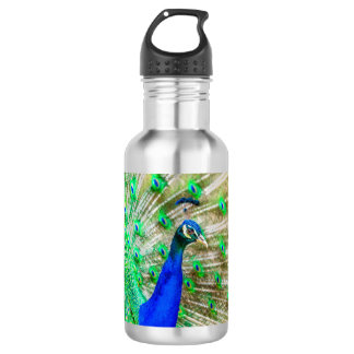 Peacock Plumage Edelstahlflasche