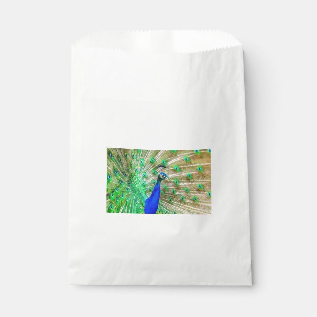 Peacock Plumage Geschenktütchen (Vorderseite)