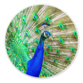 Peacock Plumage Keramikknauf