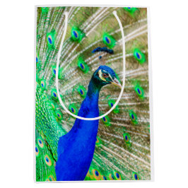 Peacock Plumage Mittlere Geschenktüte