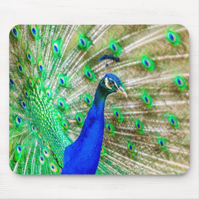 Peacock Plumage Mousepad (Vorne)