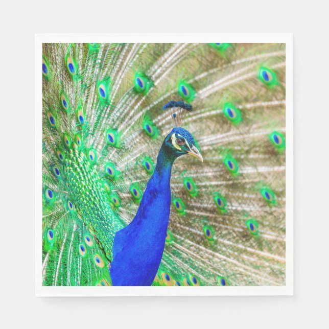 Peacock Plumage Serviette (Vorderseite)