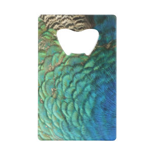 Peacock Plumes I Colorful Abstrait Nature Design