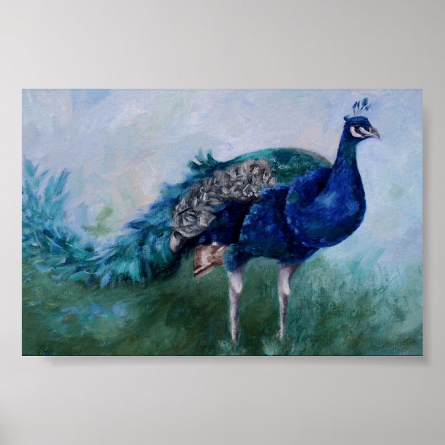 Peacock Poster (Vorne)