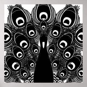 Peacock Poster