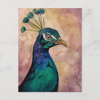 Peacock Postkarte