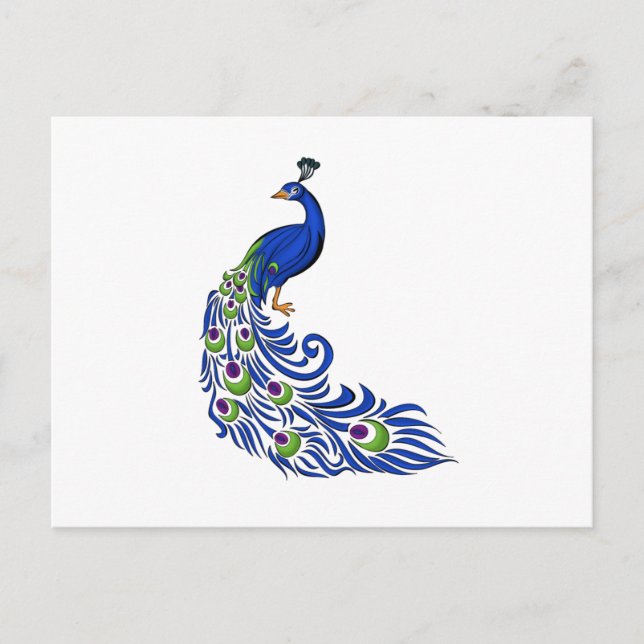 Peacock Postkarte (Vorderseite)