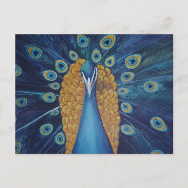 Peacock Postkarte (Vorderseite)
