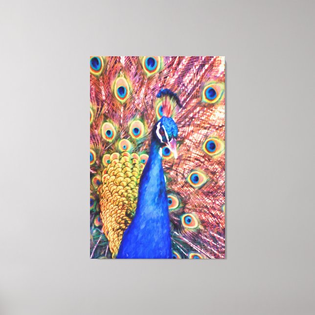 PEACOCK POWER SHOWOFF LEINWANDDRUCK (Vorderseite)