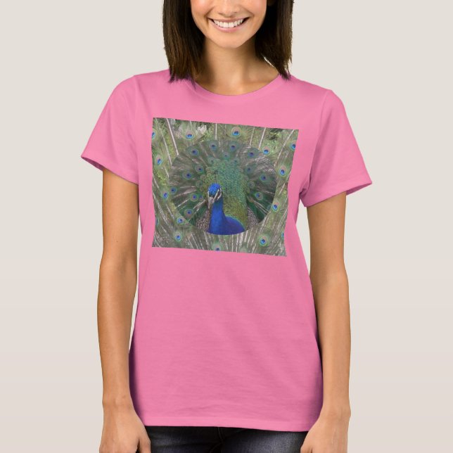 Peacock Ringer-Bird-T - Shirt (Vorderseite)