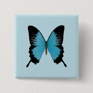 Peacock Royal Button