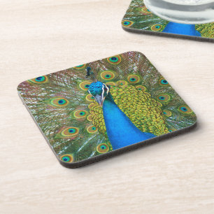 Peacock S9K.jpg Untersetzer