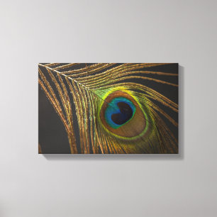 Peacock’s Eye Leinwanddruck