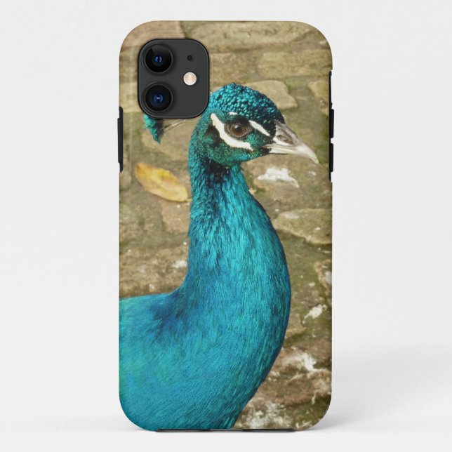 Peacock Schöne Naturfotografie Case-Mate iPhone Hülle (Rückseite)