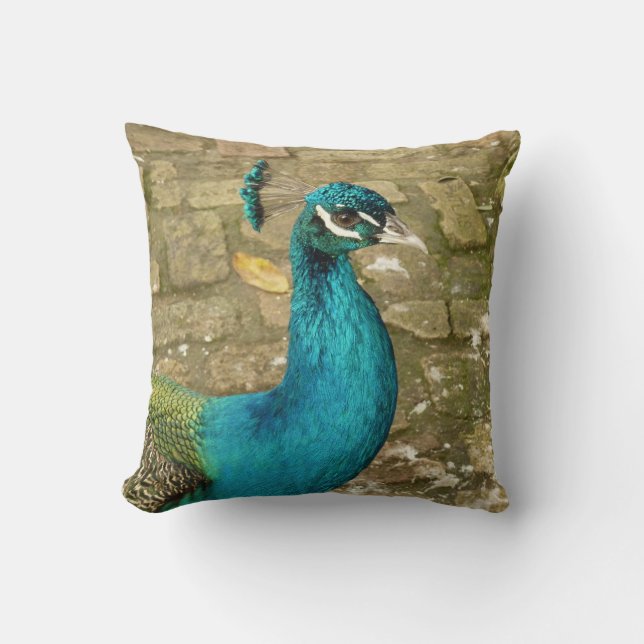 Peacock Schöne Naturfotografie Kissen (Vorderseite)