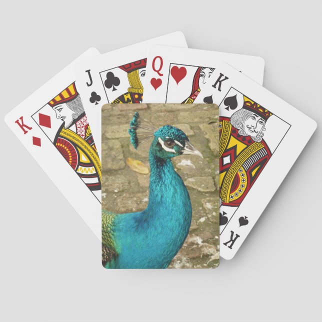 Peacock Schöne Naturfotografie Spielkarten (Rückseite)