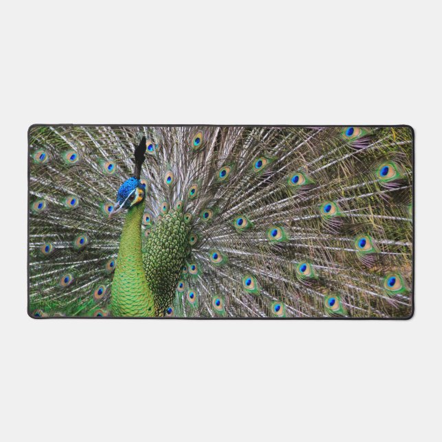 Peacock Schreibtischunterlage (Vorderseite)