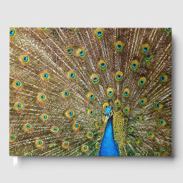 Peacock Schwanz Feathers Gästebuch