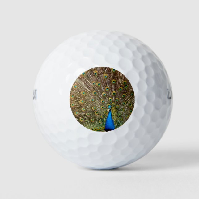 Peacock Schwanz Feathers Golfball (Vorderseite)