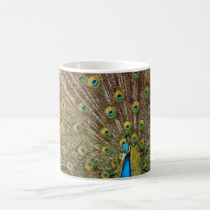 Peacock Schwanz Feathers Kaffeetasse