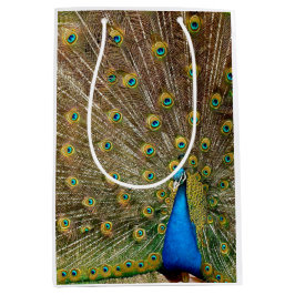 Peacock Schwanz Feathers Mittlere Geschenktüte