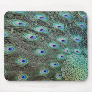 Peacock Schwanz Feathers Mousepad