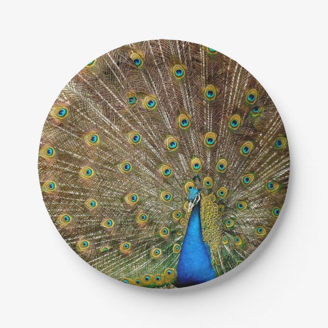 Peacock Schwanz Feathers Pappteller (Vorderseite)