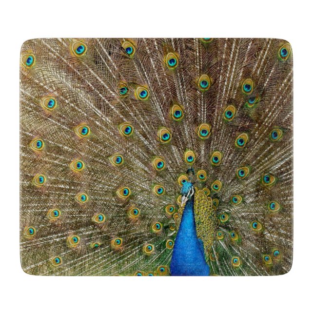 Peacock Schwanz Feathers Schneidebrett (Vorderseite)