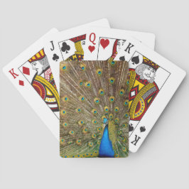 Peacock Schwanz Feathers Spielkarten
