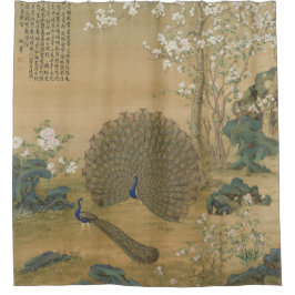 Peacock spuckt seinen Schwanz Fine Art Duschvorhang