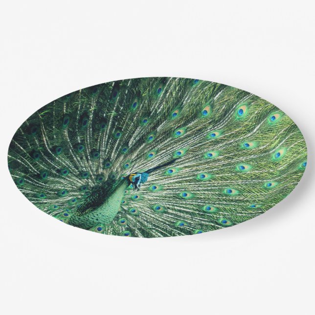 Peacock Strut Pappteller (Schrägansicht)