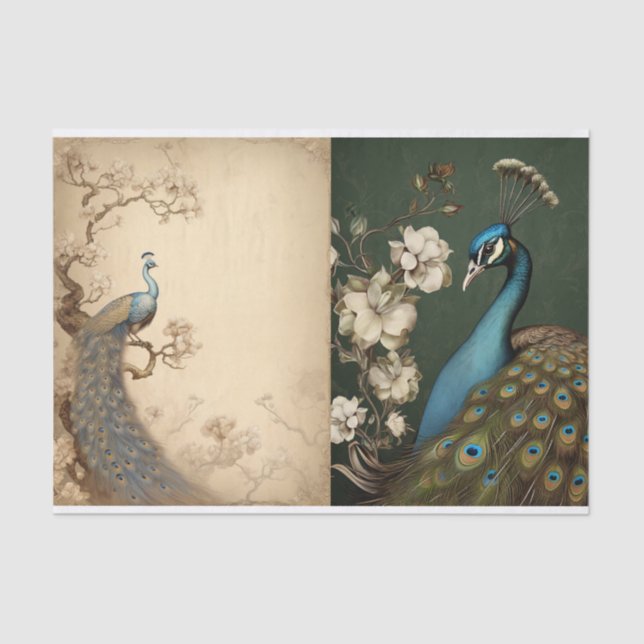 Peacock-Testseite Seidenpapier (Vorderseite)