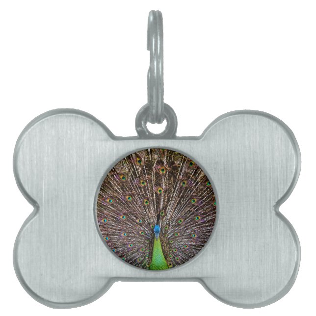 Peacock Tiermarke (Vorderseite)