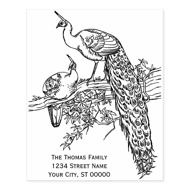 Peacock und Peahen auf einer Rücksendeadresse mit  Gummistempel (Prägung)