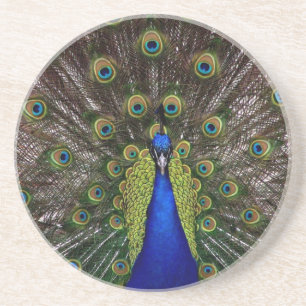 Peacock Untersetzer