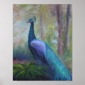 PEACOCK VON DER GRÜNDUNG DES JUGEND-Posters Poster